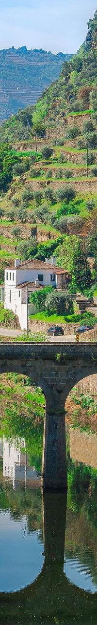 Scenic bridge over river in rural village