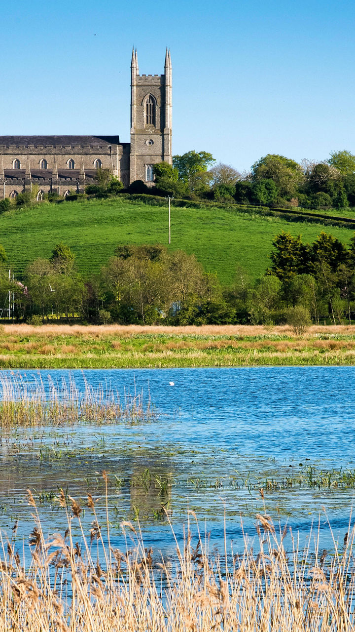 A Day in St. Patrick’s County