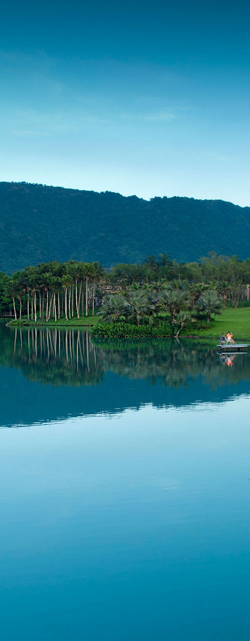 Serene tropical lake with palm trees