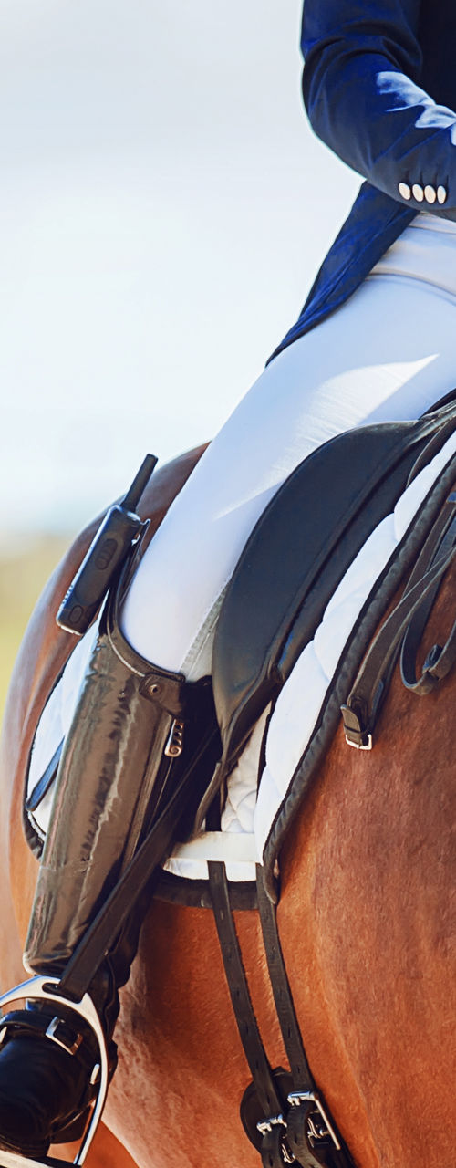 Equestrian Rider on Chestnut Horse Outdoors