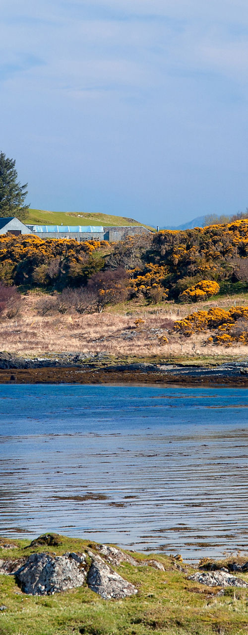 Historic castle by scenic coastal landscape