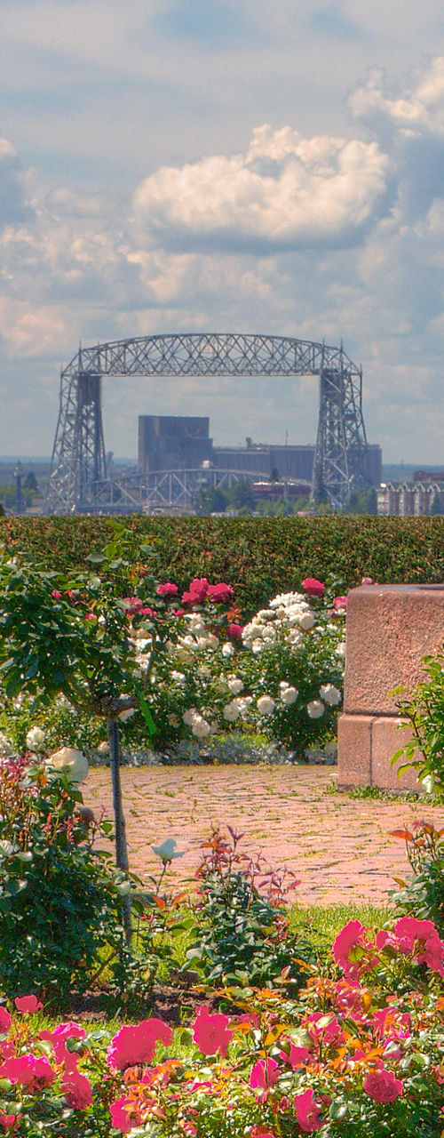 Rose garden with historic fountain and city view