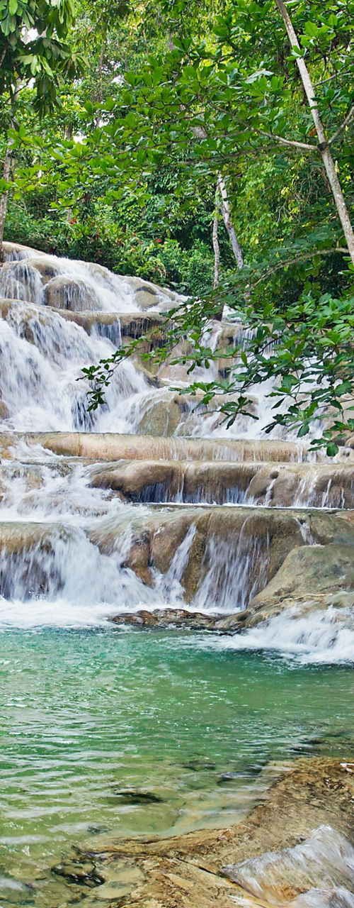 Tropical Waterfall in Lush Green Forest
