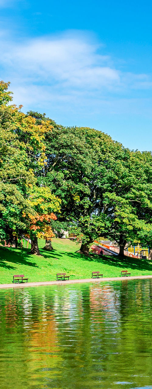 Scenic park with calm lake and trees