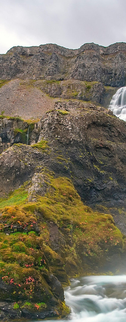 Majestic waterfall in lush green valley