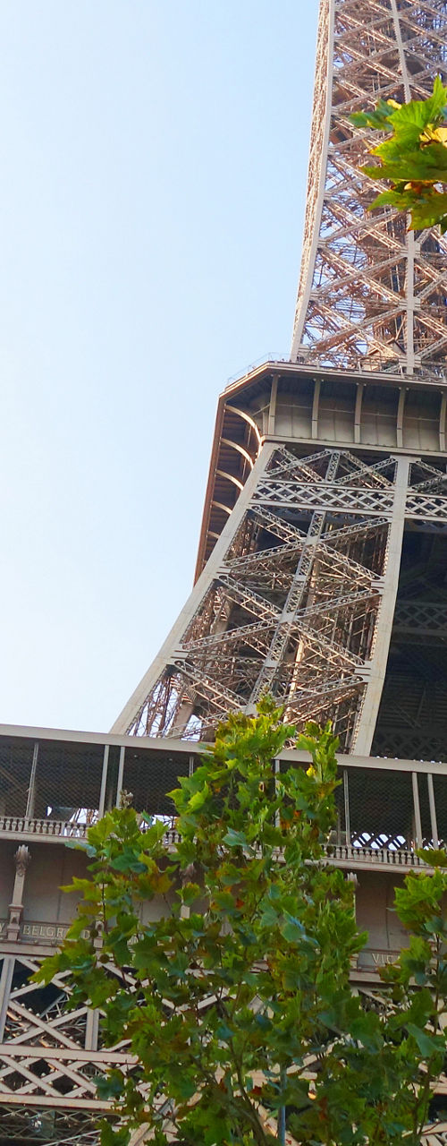 Eiffel Tower framed by autumn trees