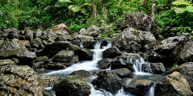 Tropical forest stream with rocky cascade
