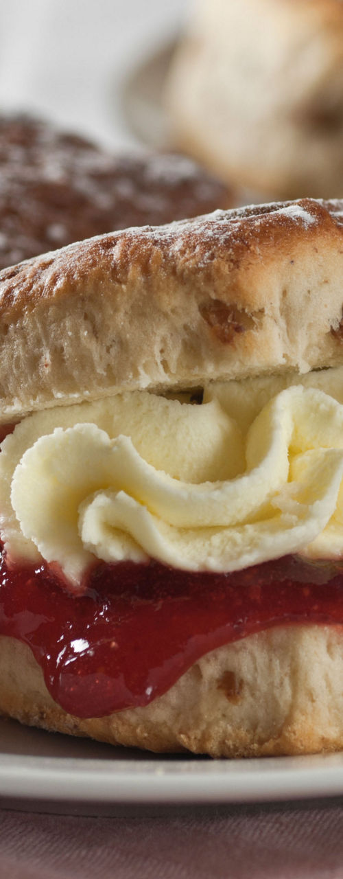 Cream and jam scone with fresh strawberries