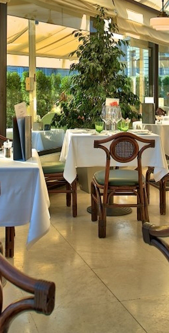 Elegant restaurant with natural lighting