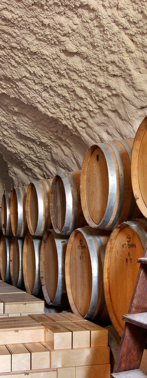 Wine barrels in rustic cellar storage