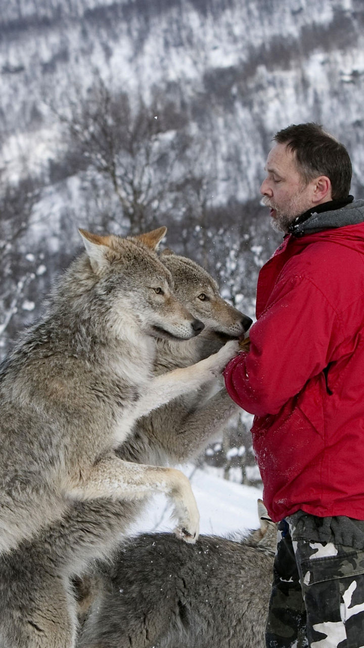 Visiting with Wolves