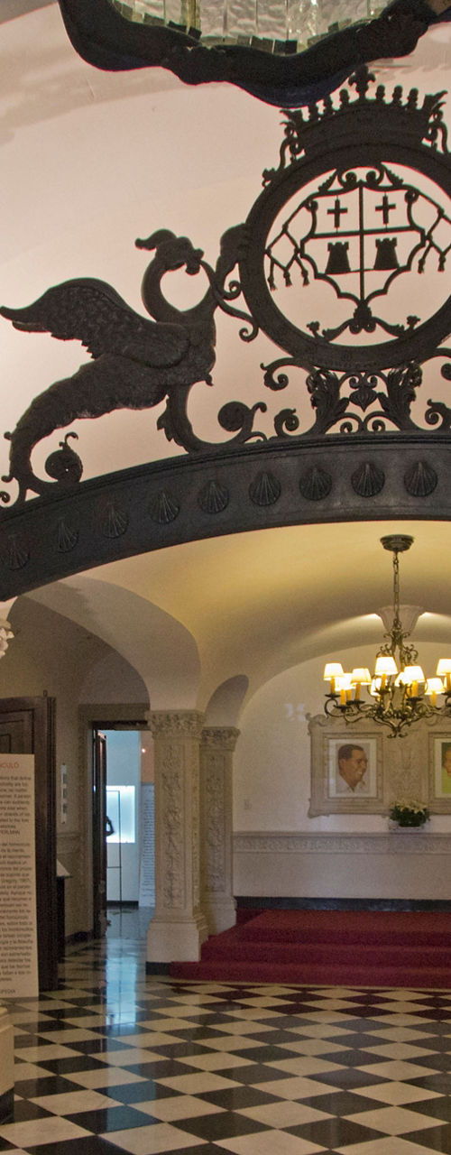 Elegant iron gate in historic building