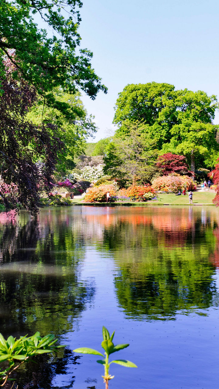 Exbury Gardens & Lyndhurst