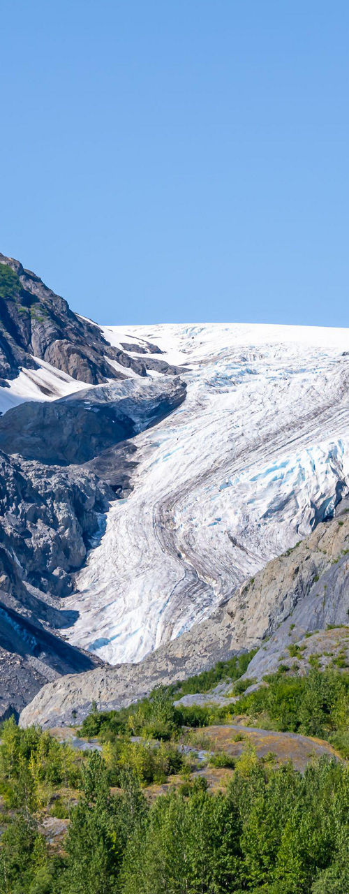 Scenic glacier view with lush greenery