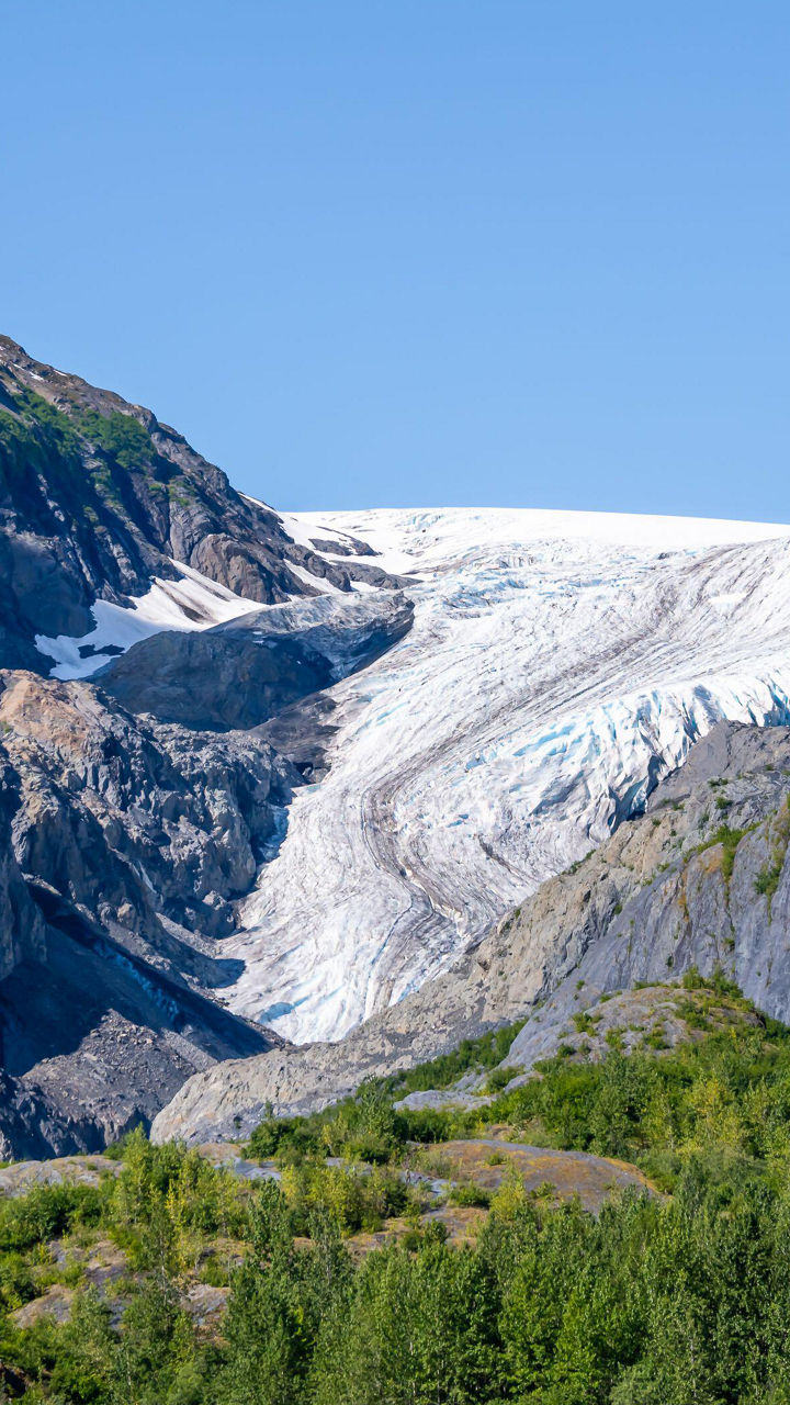 Scenic glacier view with lush greenery