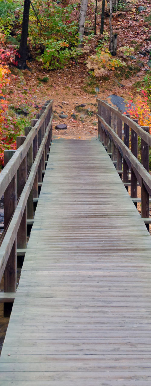 Wooden bridge in vibrant autumn forest