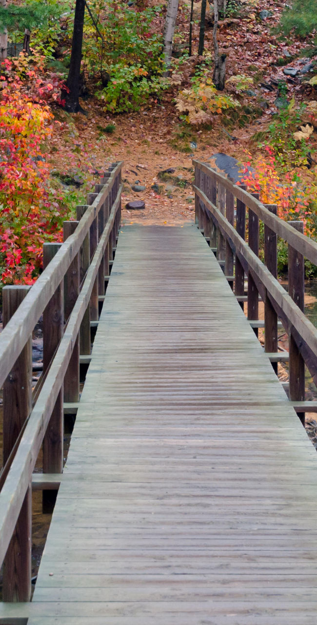 Wooden bridge in vibrant autumn forest