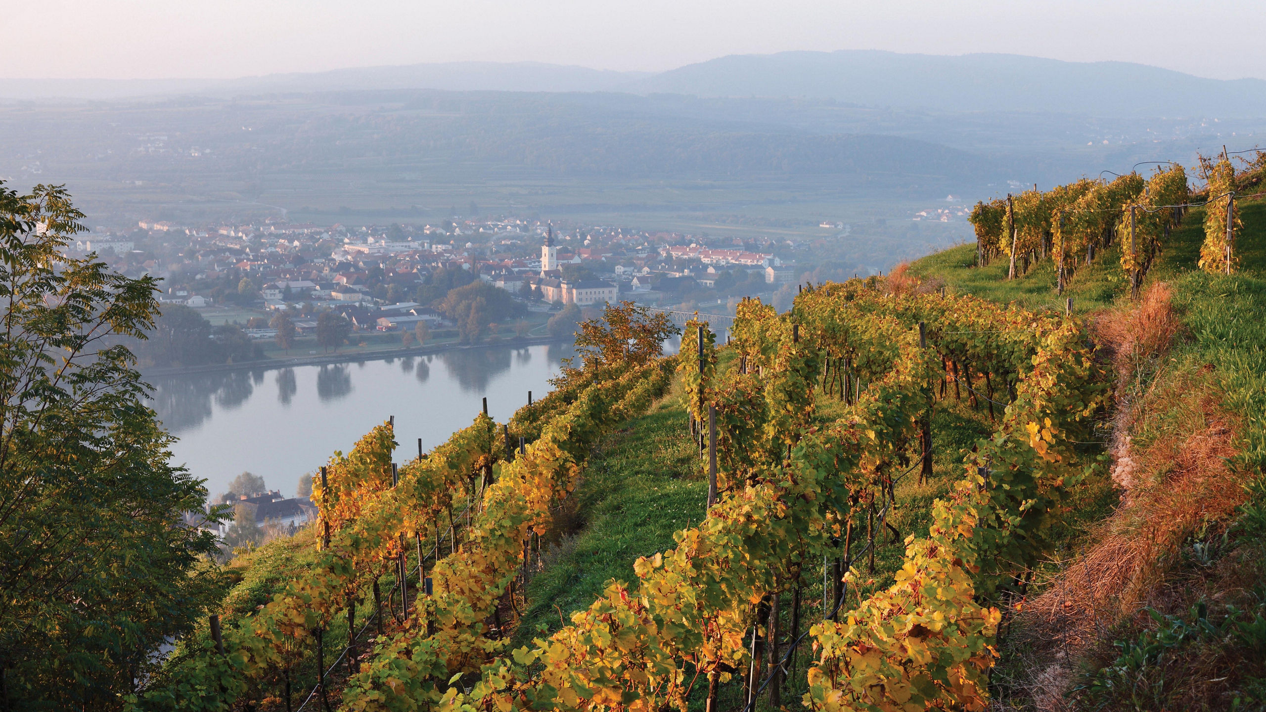 Christmas on the Danube