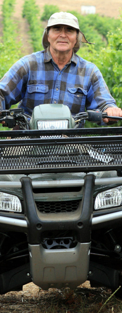 Farmer driving ATV in vineyard