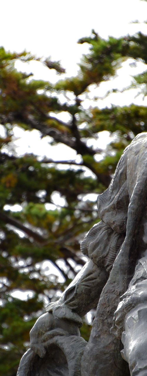 Bronze statue of explorer amidst trees