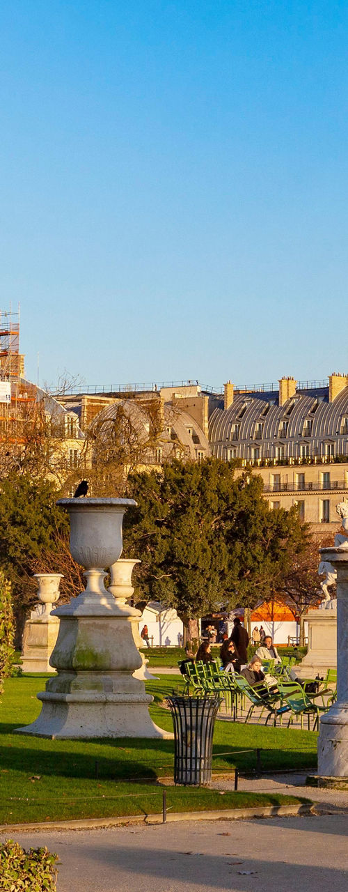 Ferris Wheel and Louvre in Paris Park
