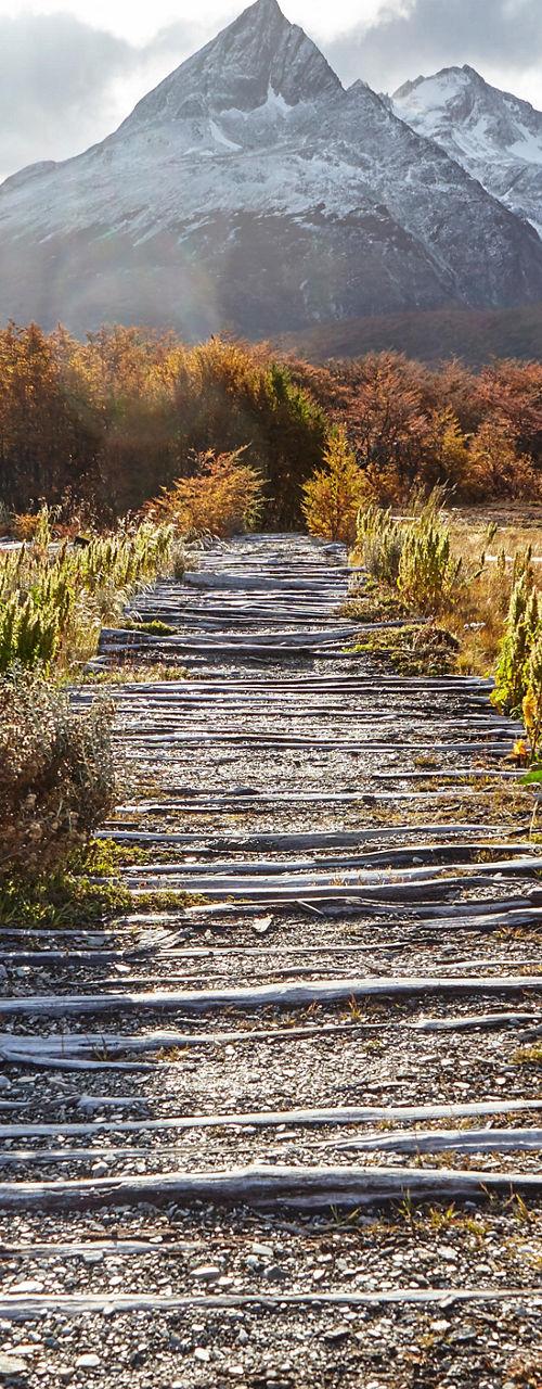 Rustic wooden path leading to snowy mountains
