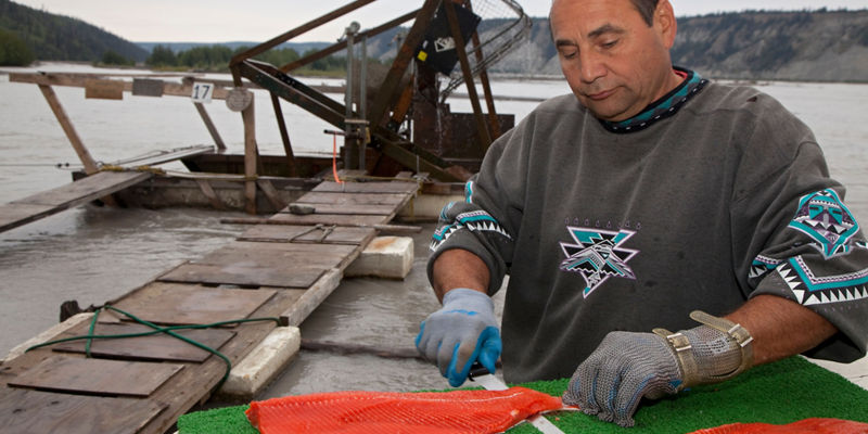 Fisherman preparing salmon by riverside