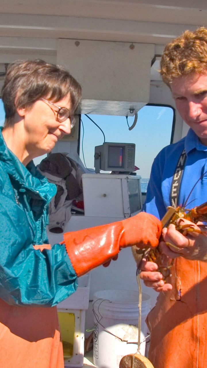 Working Waterfront & Lobster Pull
