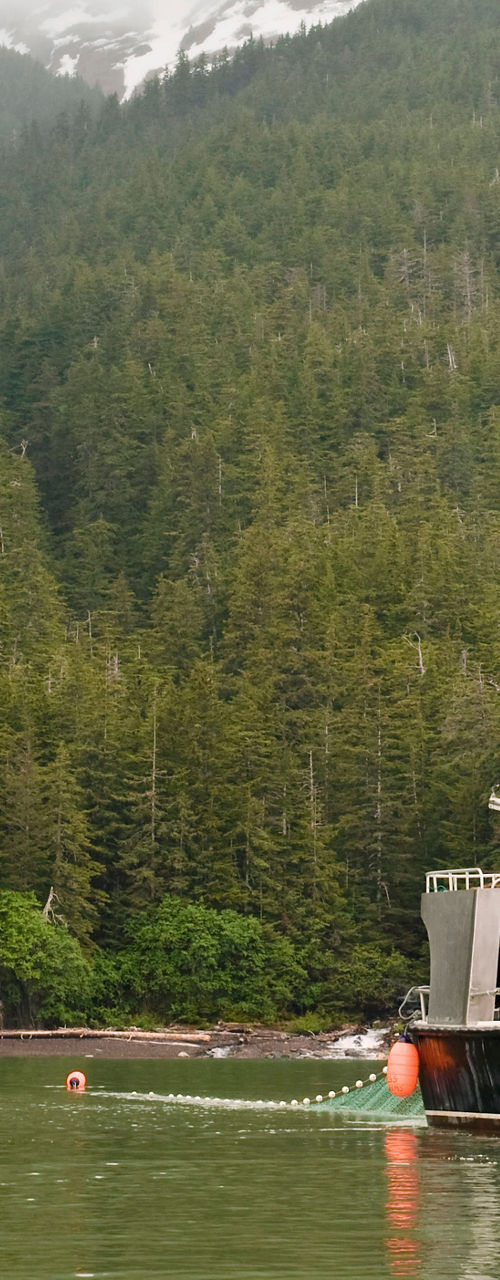 Fishing boat in scenic forested bay