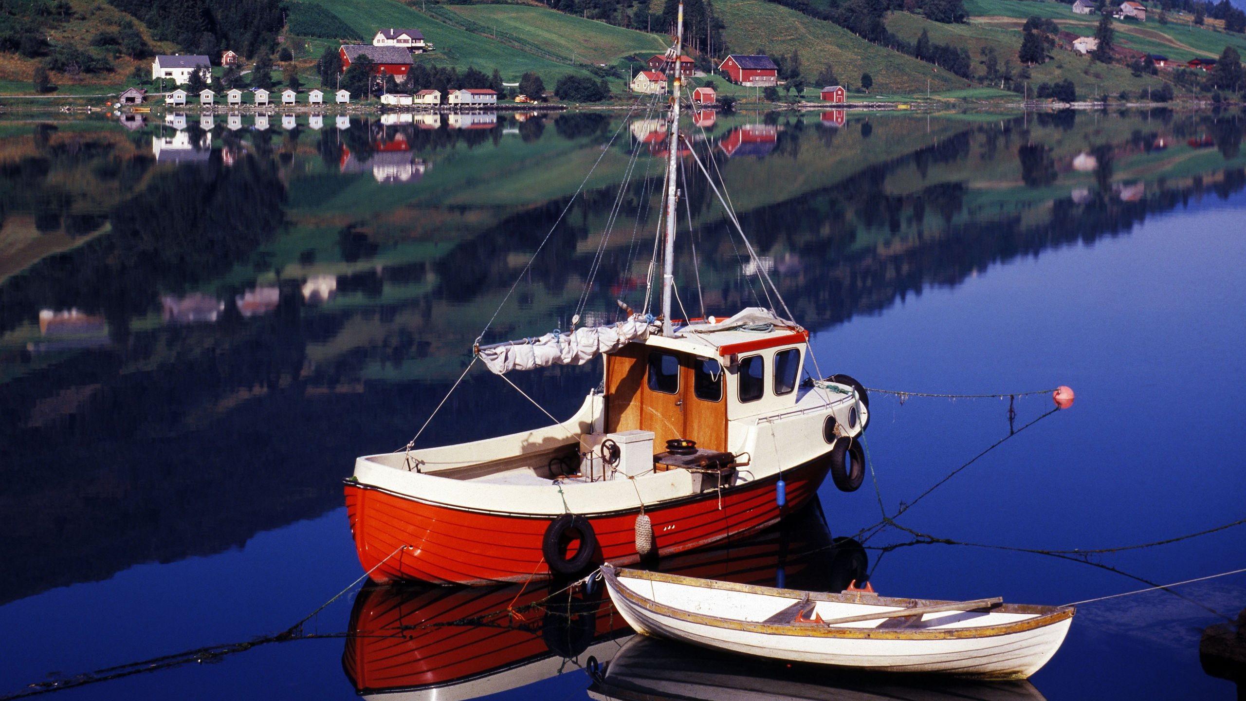 Into the Midnight Sun