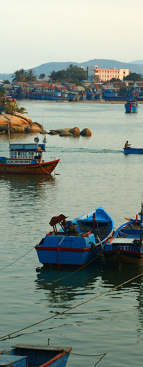 Fishing boats in serene coastal harbor