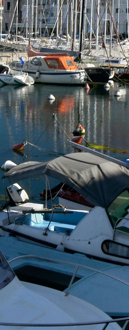 Scenic marina with docked boats