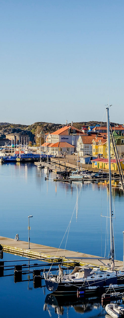 Scenic marina with boats and waterfront town