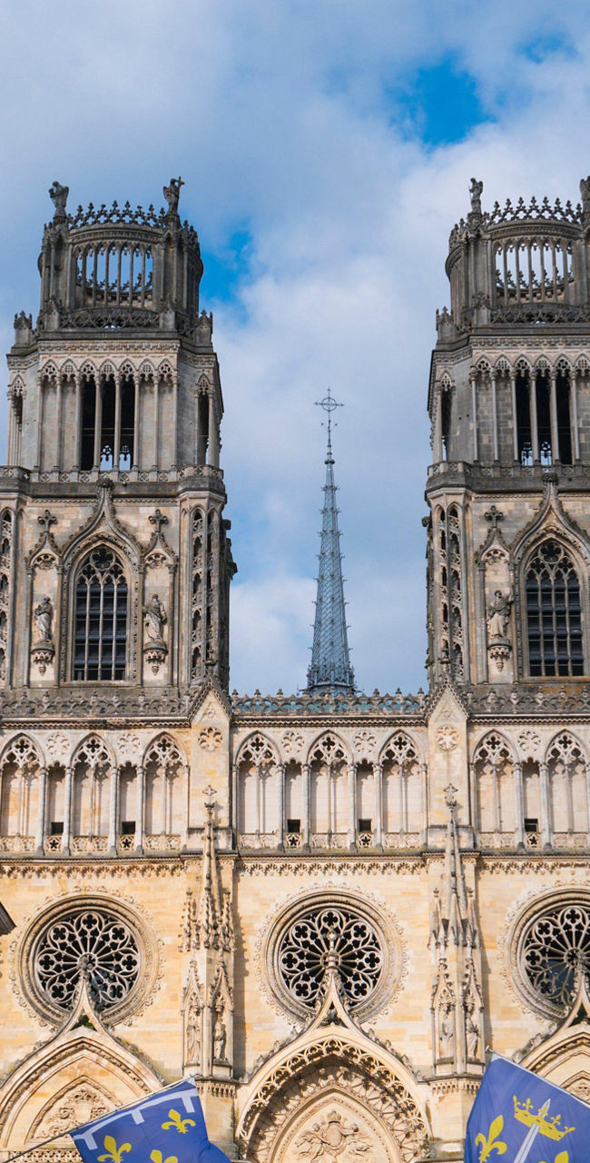 Orléans Cathedral with flags in foreground