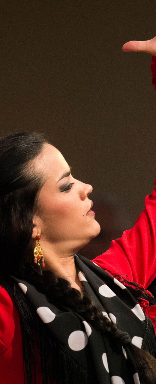 Flamenco dancer in vibrant red dress