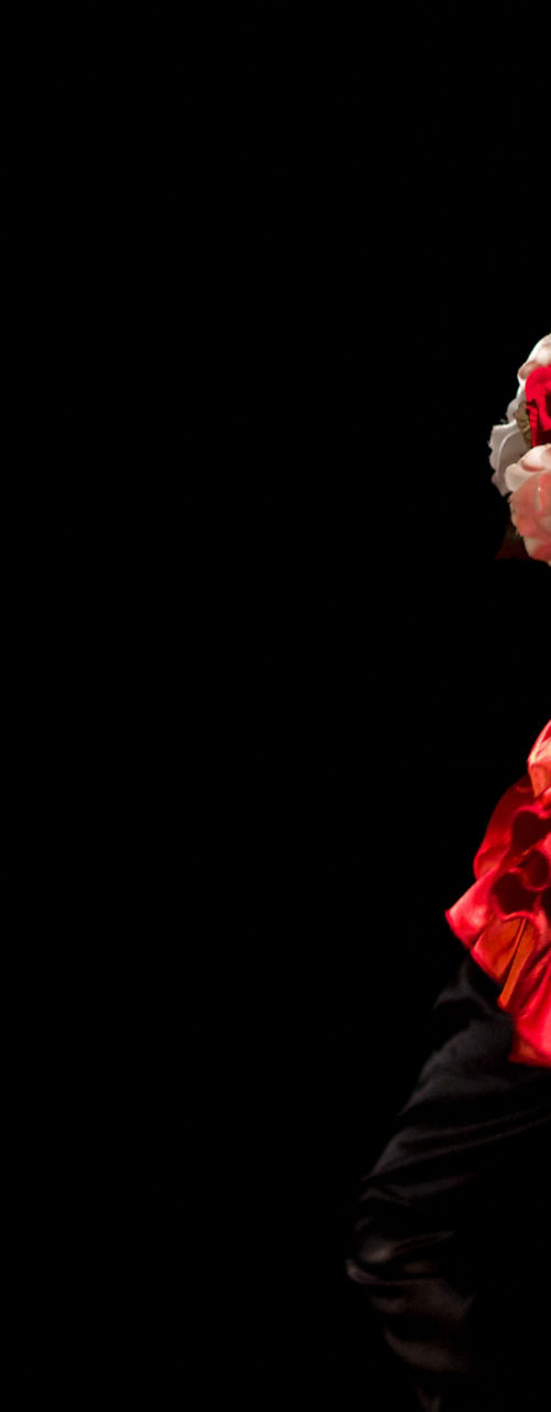 Flamenco dancer in black and red attire