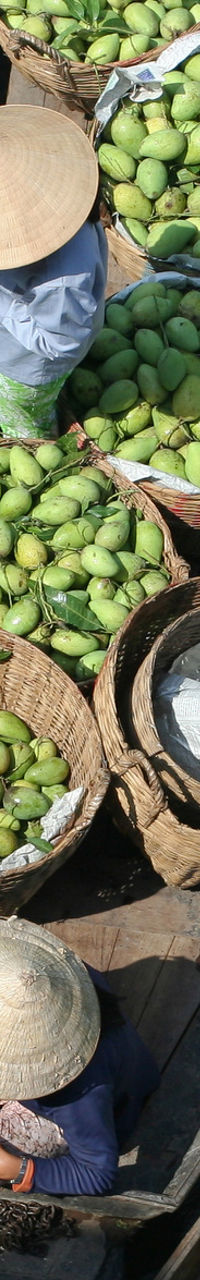 Floating market with fresh produce on boats