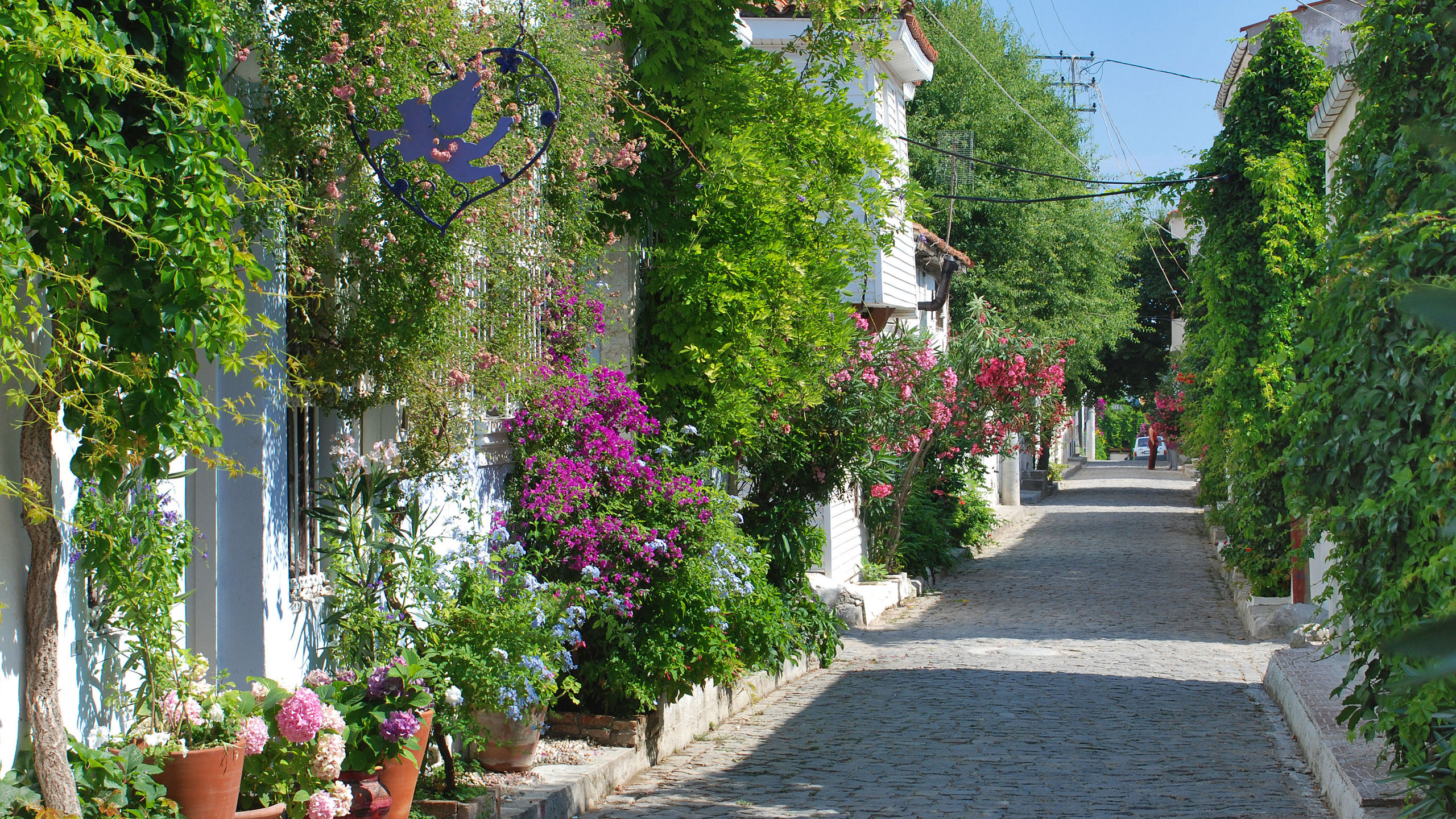 Ancient Mediterranean Treasures