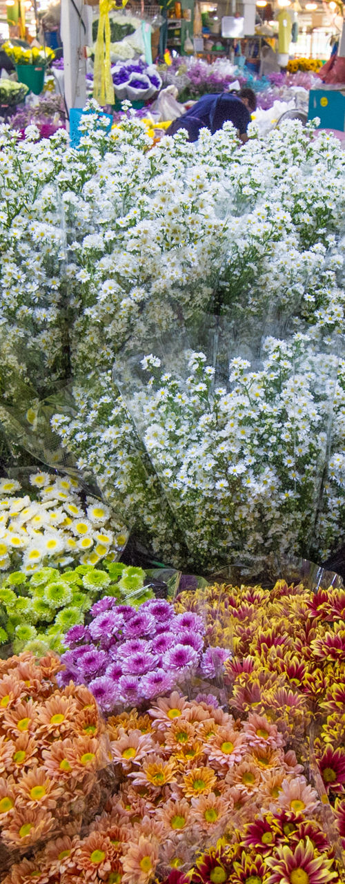 Colorful flower display in bustling market