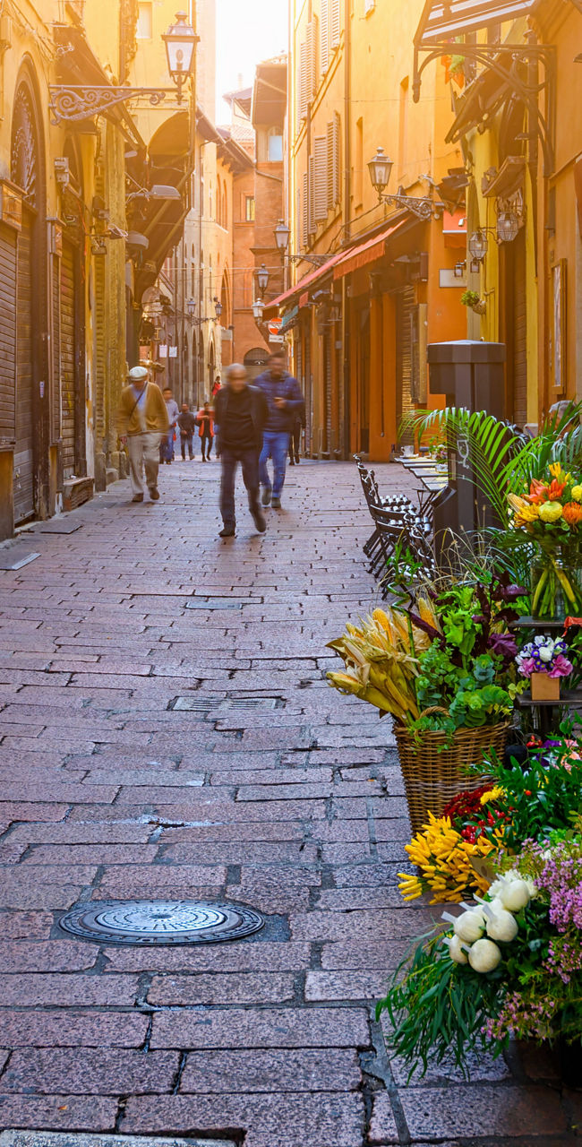 Charming European street with flower shop