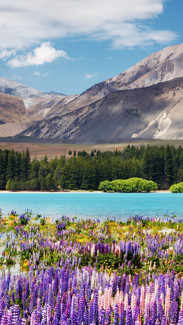 Lake Tekapo & Milford Sound Overland