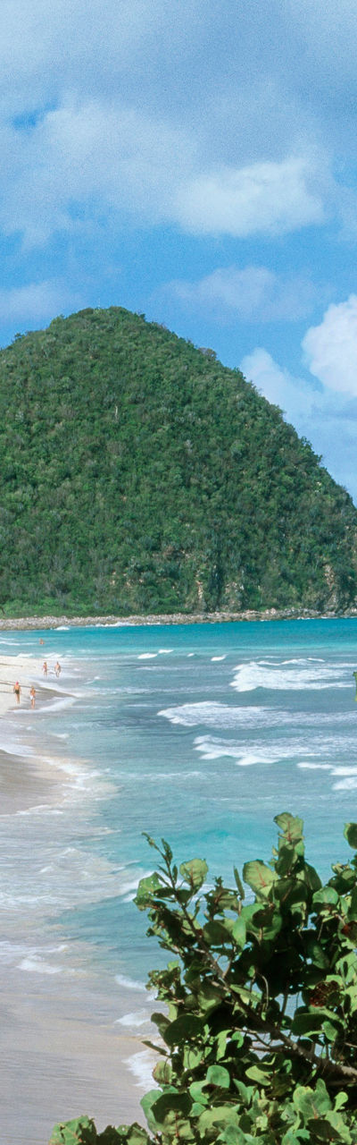 Tropical beach with lush greenery and hills