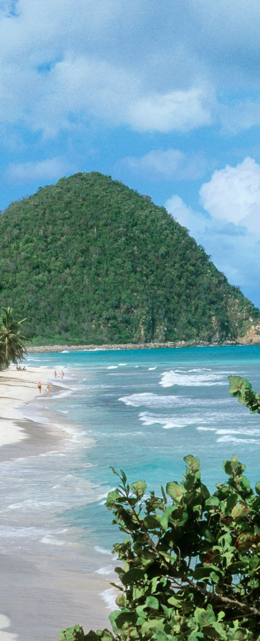 Tropical beach with lush greenery and hills