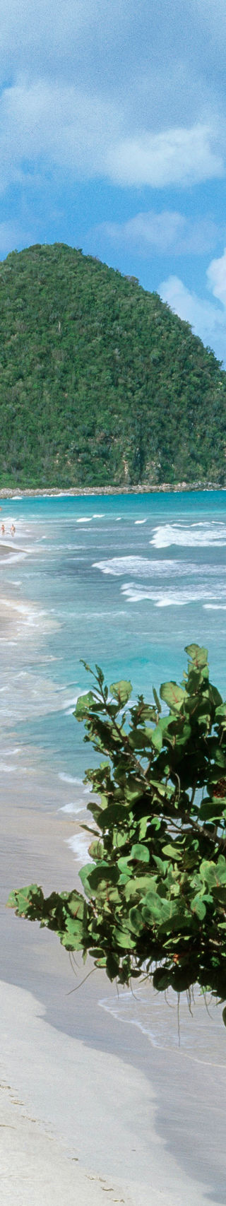 Tropical beach with lush greenery and hills