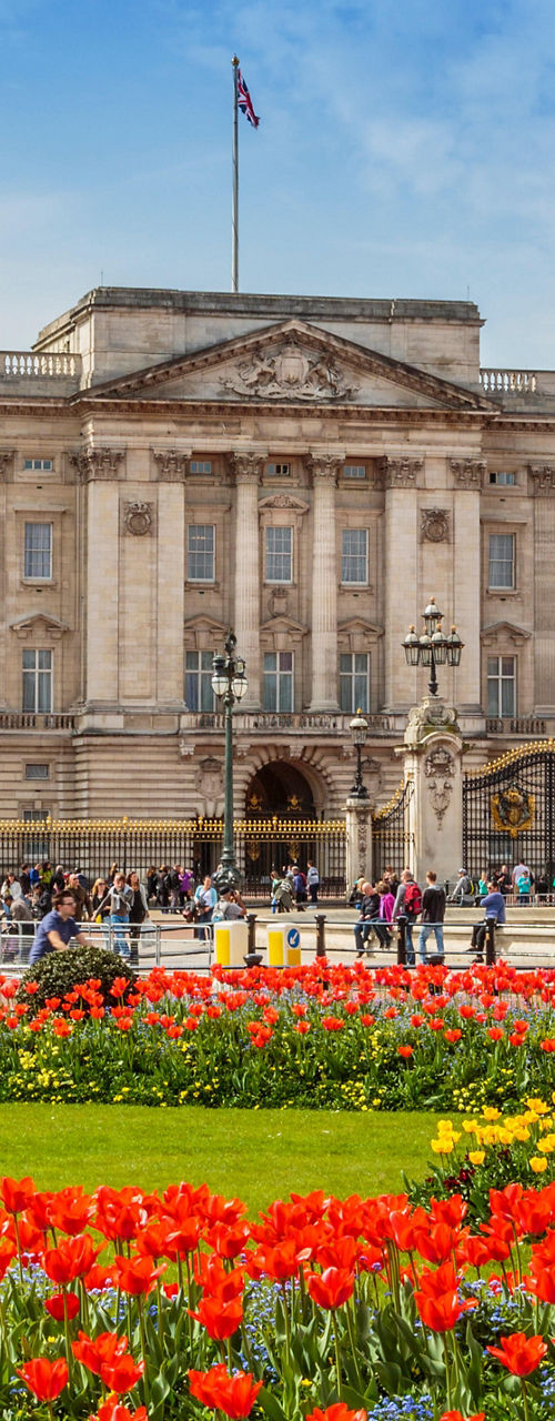 Buckingham Palace with vibrant tulip garden