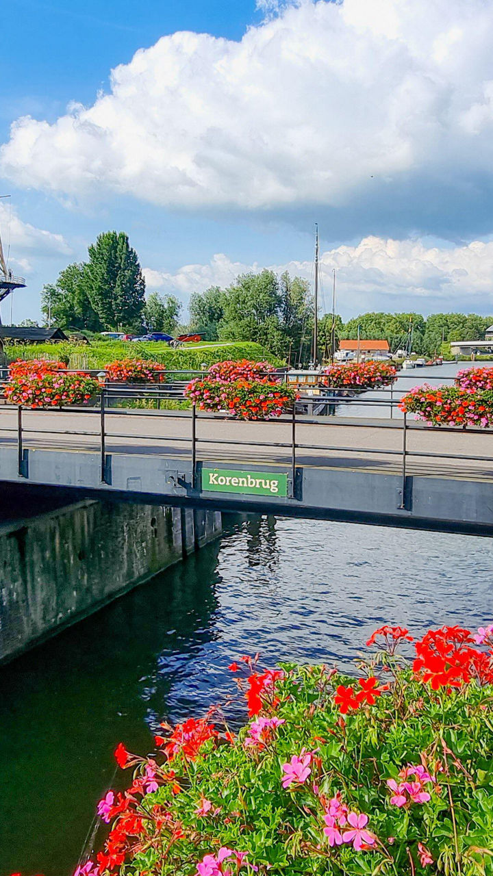 Scenic canal with flowers and windmill