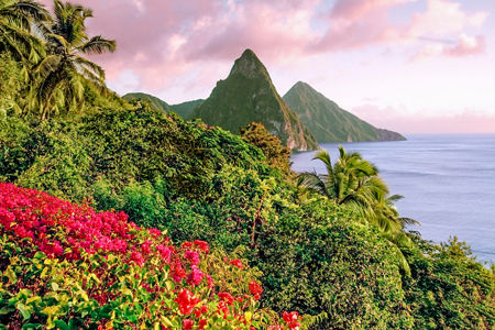 Tropical landscape with lush greenery and mountains