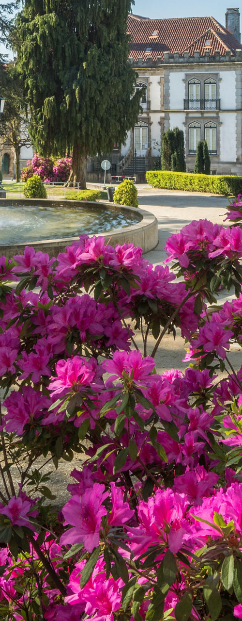 Fountain in a vibrant garden setting