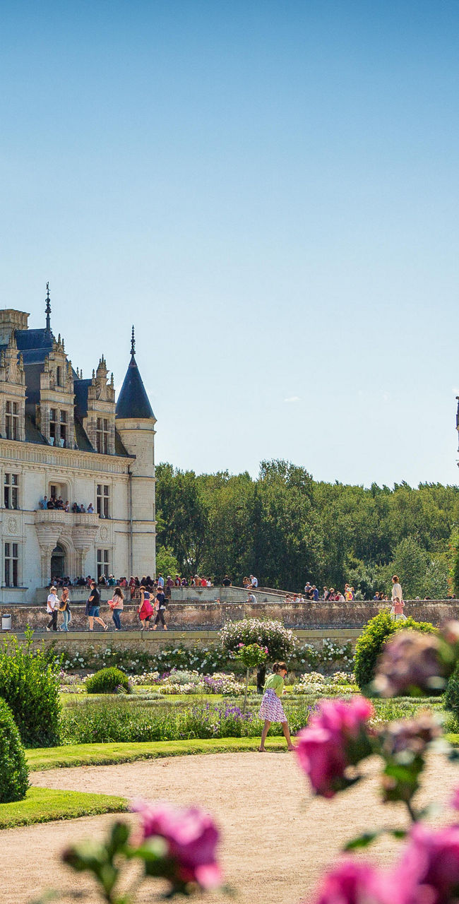 Historic French château with vibrant gardens