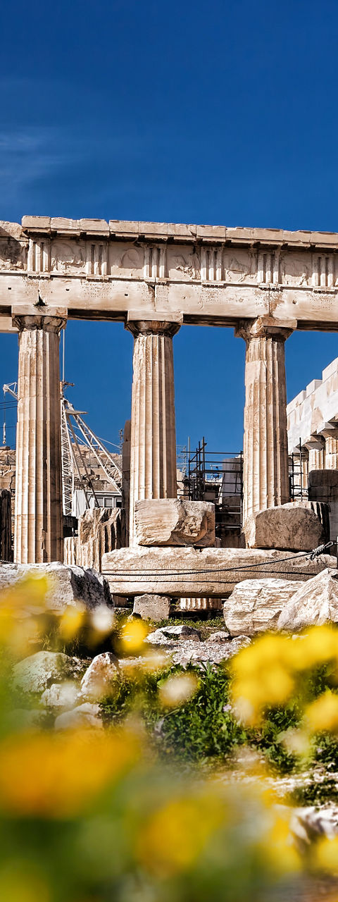 Ancient Parthenon with yellow flowers foreground